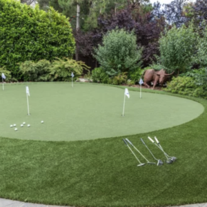 Hickory - Putting Green