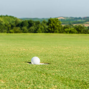 Steel - Hole in One Sponsorship